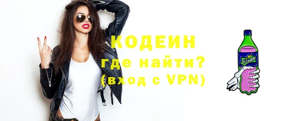 шишки Верхний Тагил
