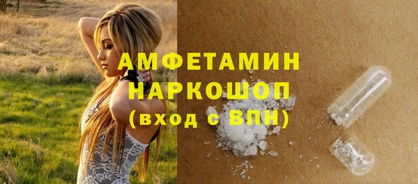 шишки Верхний Тагил