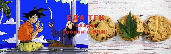 шишки Верхний Тагил