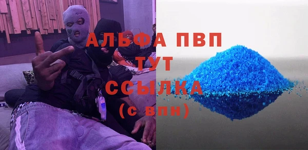 шишки Верхний Тагил
