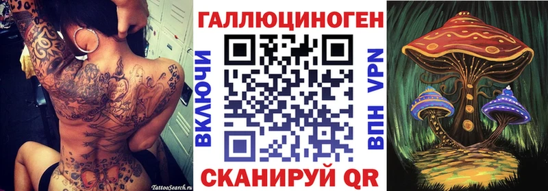 Псилоцибиновые грибы Psilocybe  Карабаш 